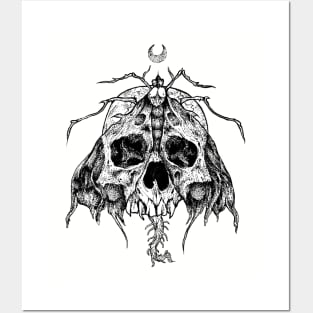 Moth Skull Posters and Art